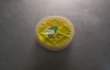 Queso mancheguitos (semicurado)