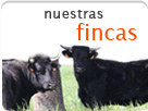 Nuestras Fincas
