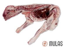 Borrego (con cabeza y asadura)