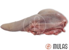 L&iacute;ngua de Vitela