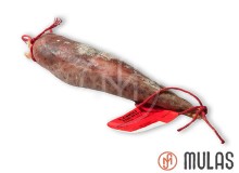 L&iacute;ngua ib&eacute;rica curada   