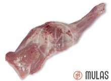 P&aacute; de cabrito