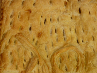 Empanada de bonito