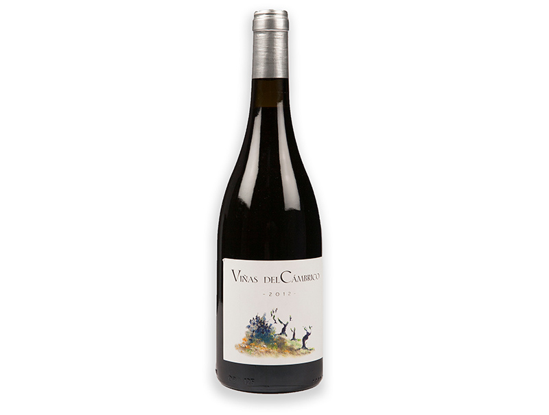 Viñas del Cámbrico