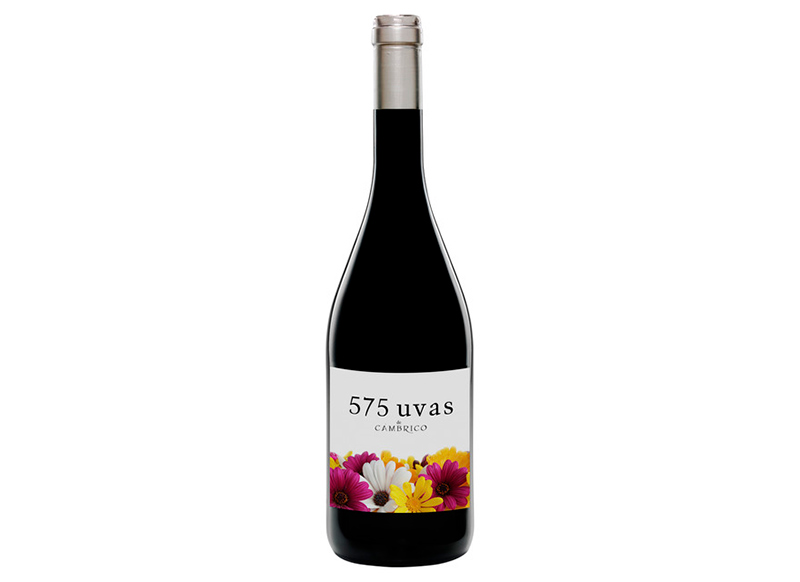 575 Uvas