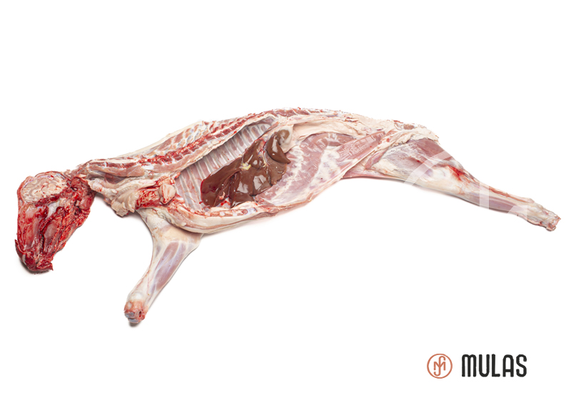 Lechazo (con cabeza y asadura): Medio lechazo.