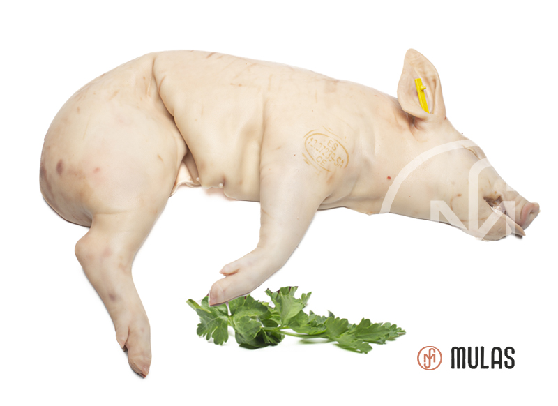 LEITAO IBERICO