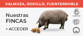 Nuestras fincas